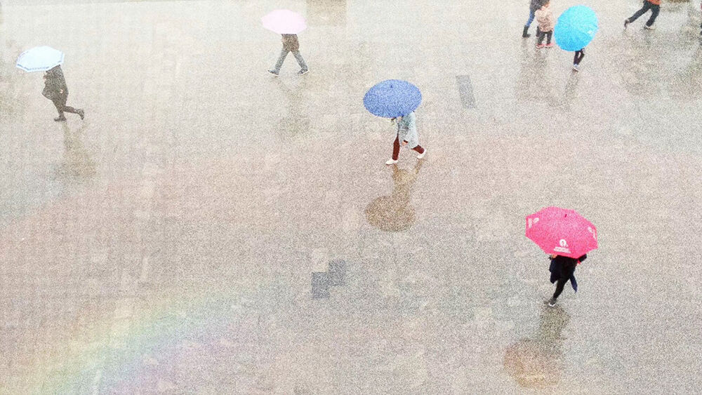 雨中即景