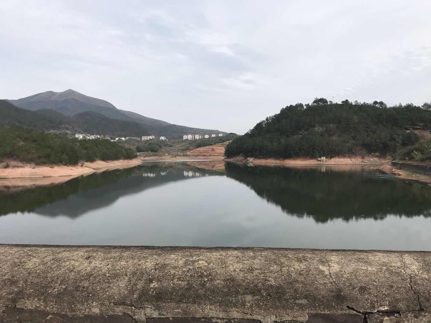 绍兴水利标准化验收组现场查看藏岗村大山下水库-嵊州新闻网