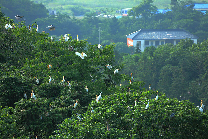 2017第二届“和美吕山”摄影大赛获奖作品公示-长兴新闻网