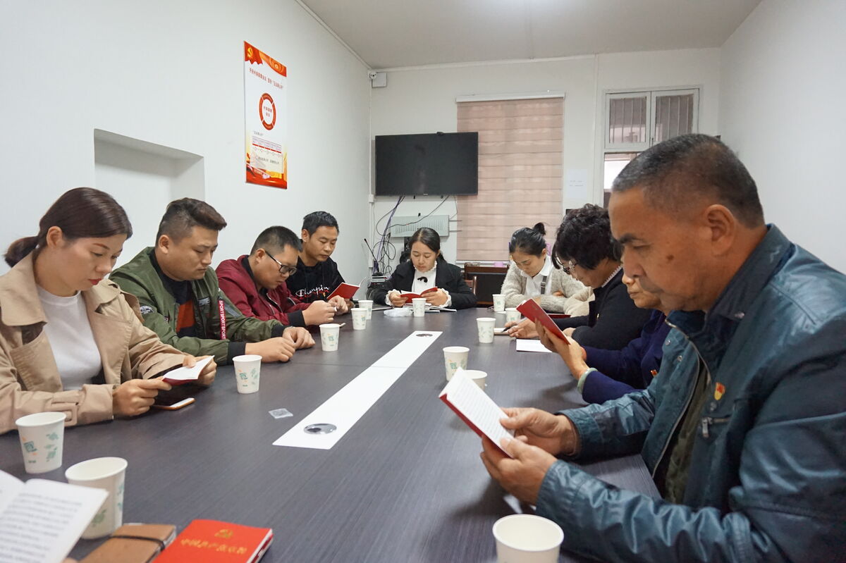 城东：翠屏居党支部组织学习新党章