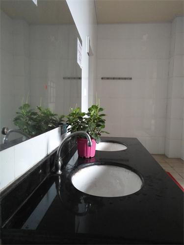 启新学校:师生联动推进厕所革命-桐乡新闻网