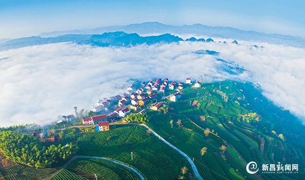 浙江新昌旅游景点_浙江新昌旅游收入