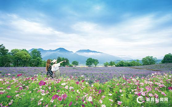 浙江新昌旅游景点_浙江新昌旅游收入(3)