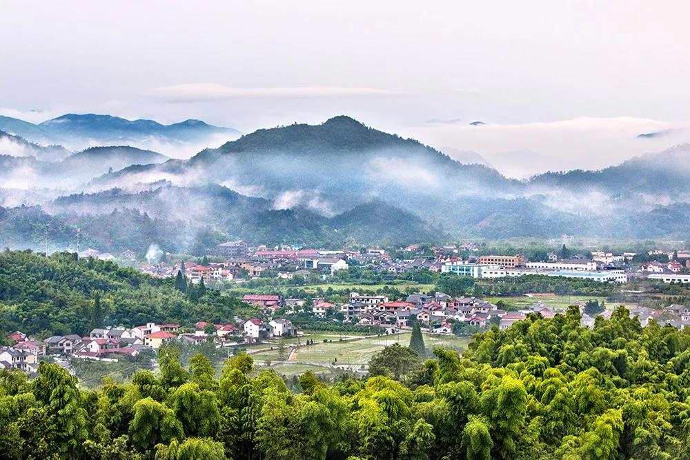 安吉生态旅游 图片合集