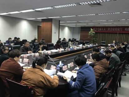 区人大代表分组审议人大常委会和两院工作报告