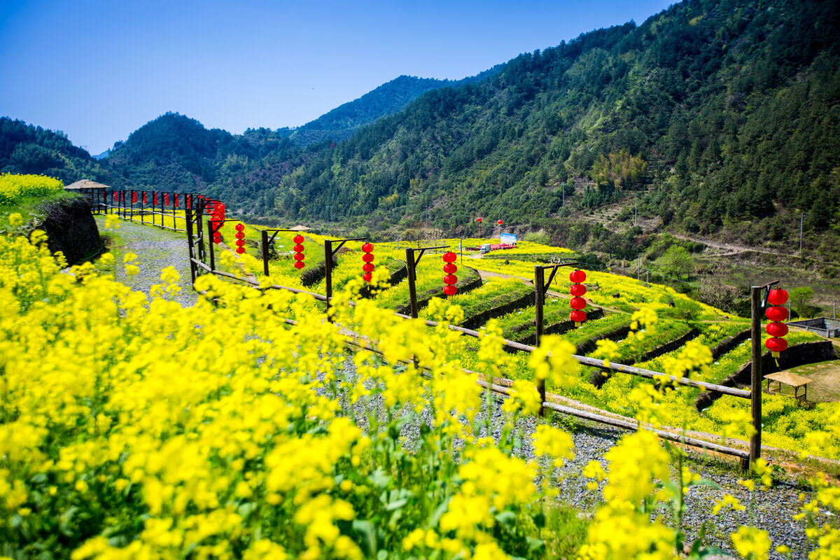 ▼大数据分析师招聘▼德国vs加纳历史上交手几