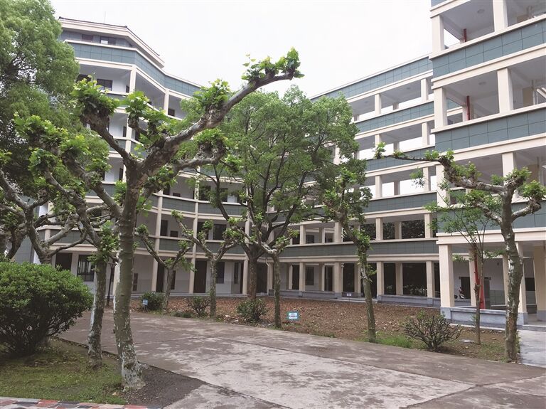 马寅初初级中学美丽校园建设记略