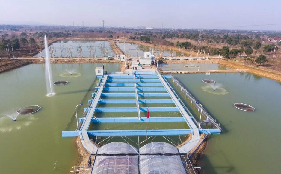 长兴县45条池塘循环水养鱼跑道 实现尾水零排