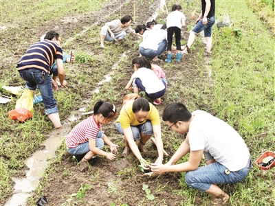 教育动态    为培养学生热爱劳动,珍惜粮食的品行,武义实验小学与熟溪