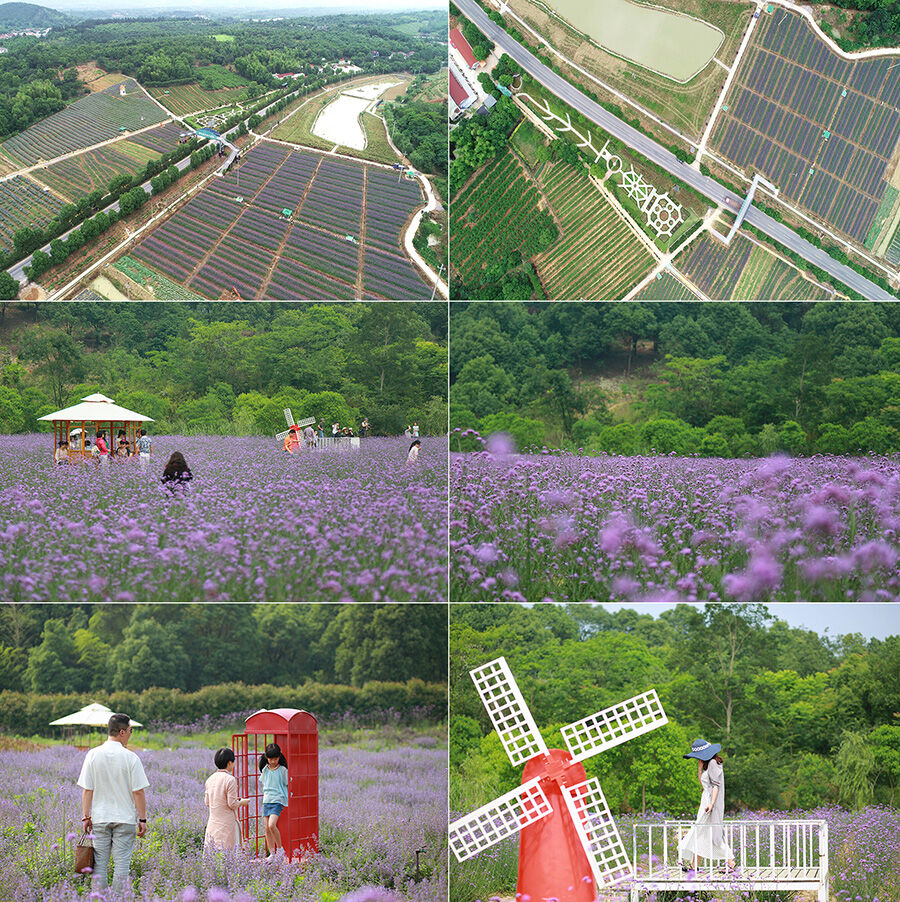兴县2018经济总量_兴县地图(3)