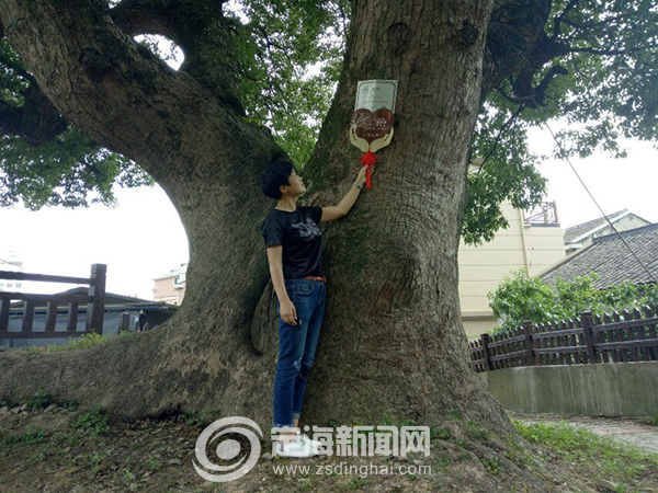 盐仓街道人口多少_...商所工作人员到盐仓街道新螺头社区为辖区内42户小店经(3)