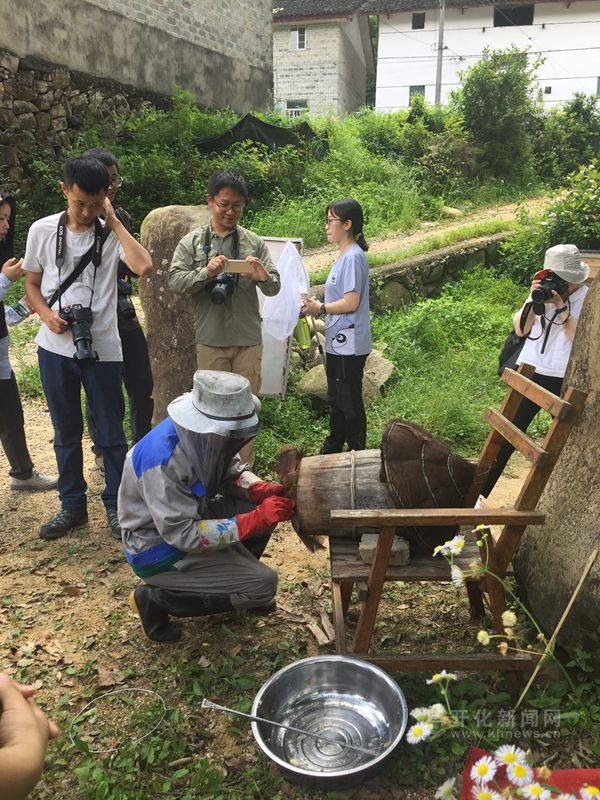 世界自然基金会来开化开展钱江源国家公园环境