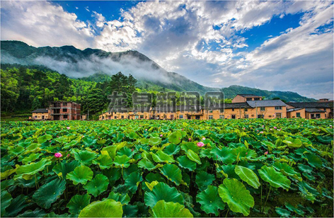 骆庄村人口