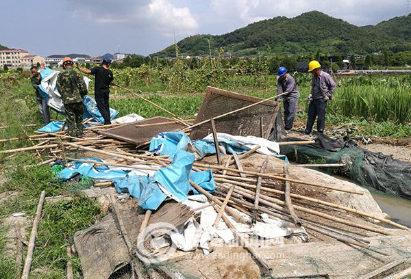 双桥街道集中拆除田间鸡舍鸭棚-定海新闻网