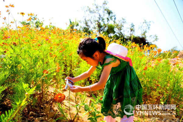 玉环市干江镇多少人口_玉环市干江镇垟岭村(3)