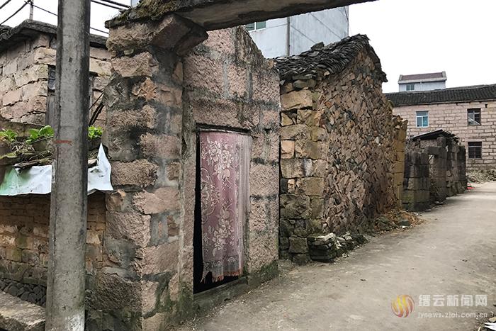 10月24日讯(浙江在线通讯员  叶必飞  李欣啸 ) 在缙云县大洋镇前村村