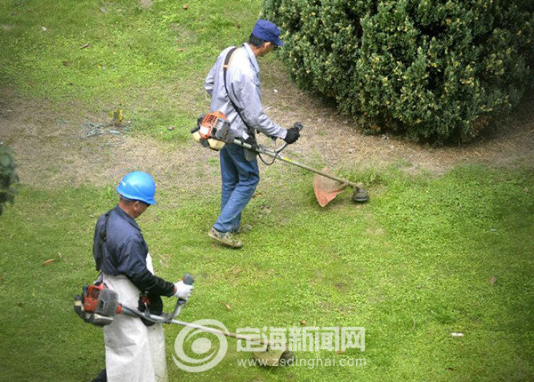 精心养护绿化 确保植被过冬