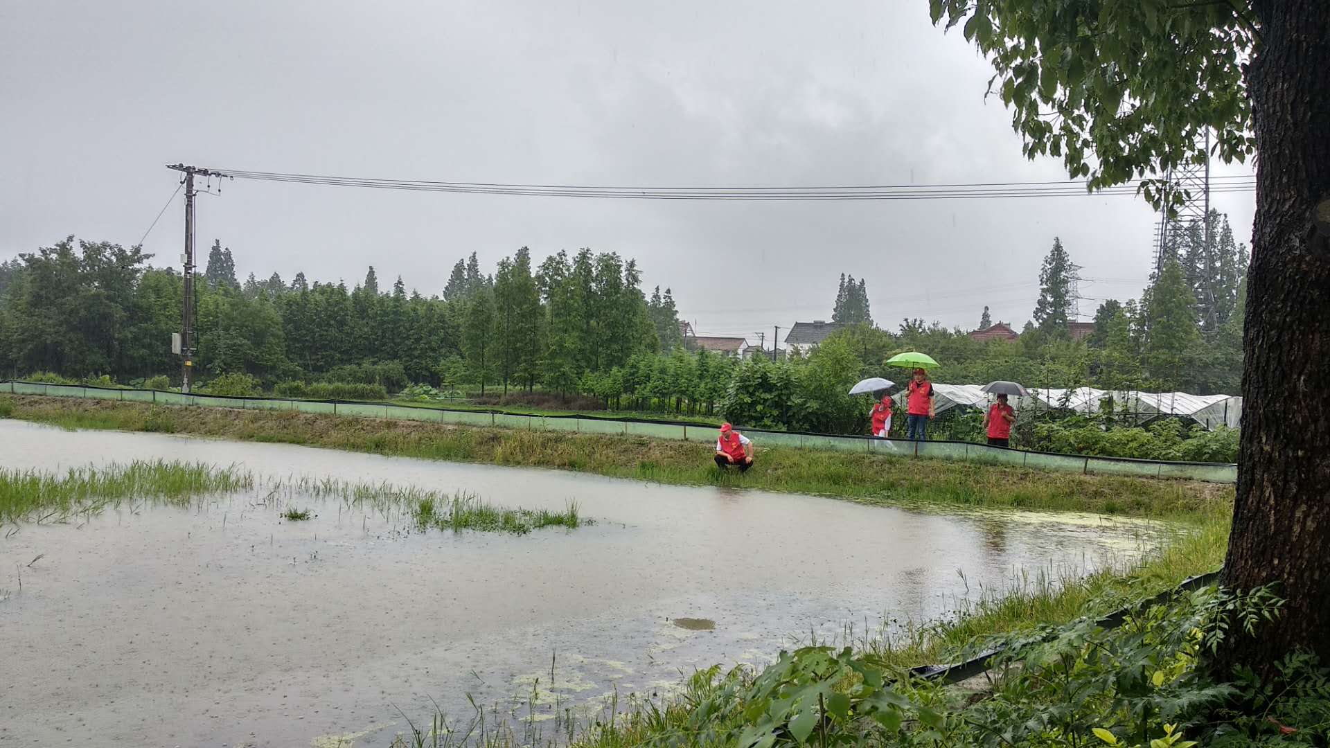 和平镇横山村对助农增收项目进行防汛检查(图)