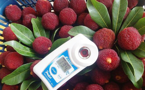 ��ɽ��÷������