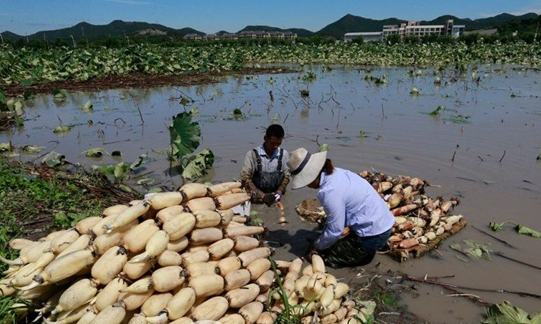 ����˫��ũ��������ź