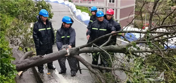 大陈岛面积和人口