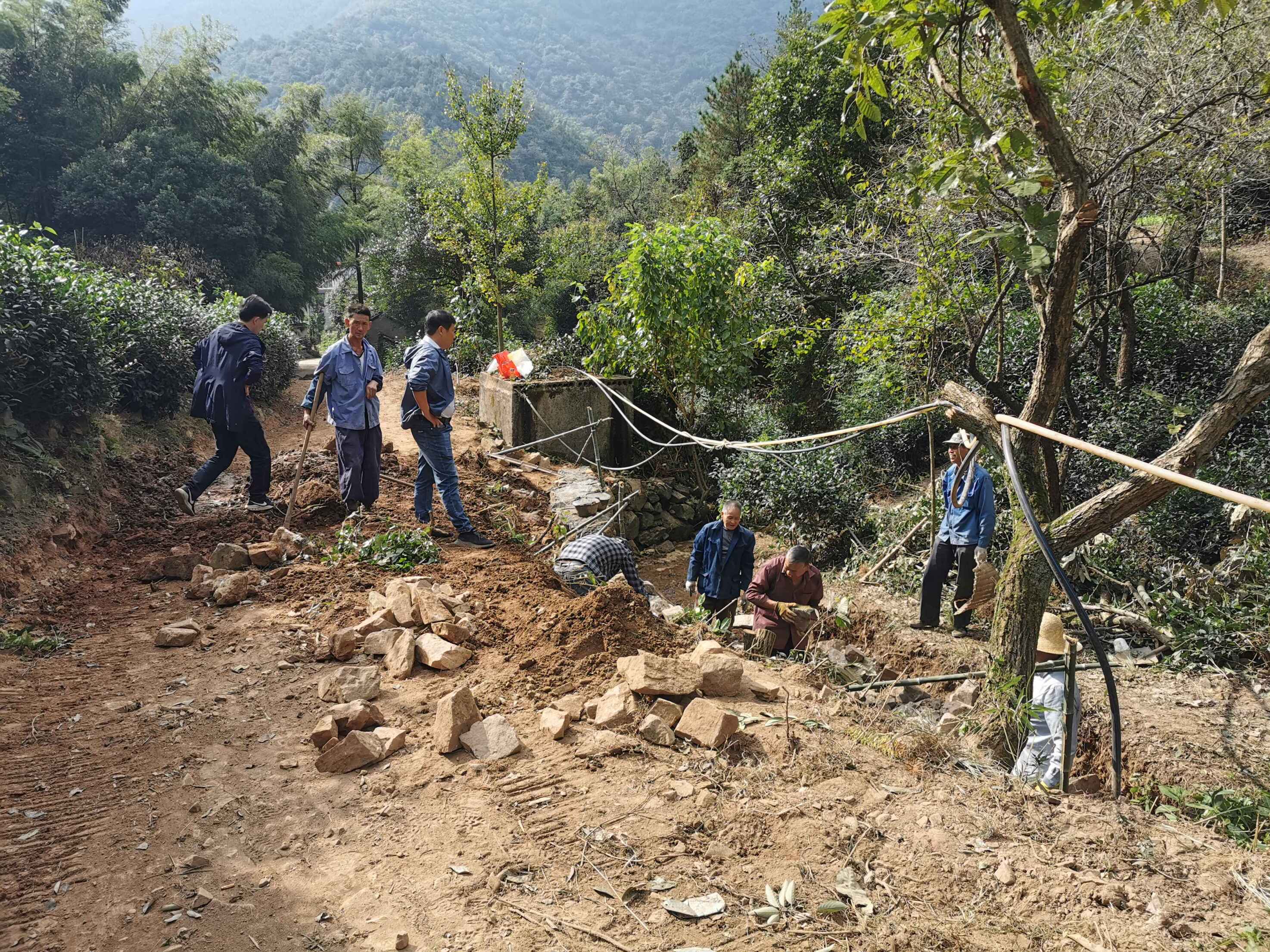 村书记马末方,主任许建忠带领全体村干部参加务劳动.