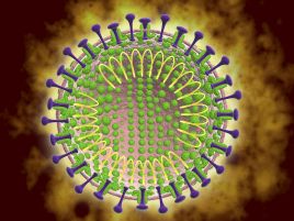 新型冠状病毒感染的肺炎有哪些症状？