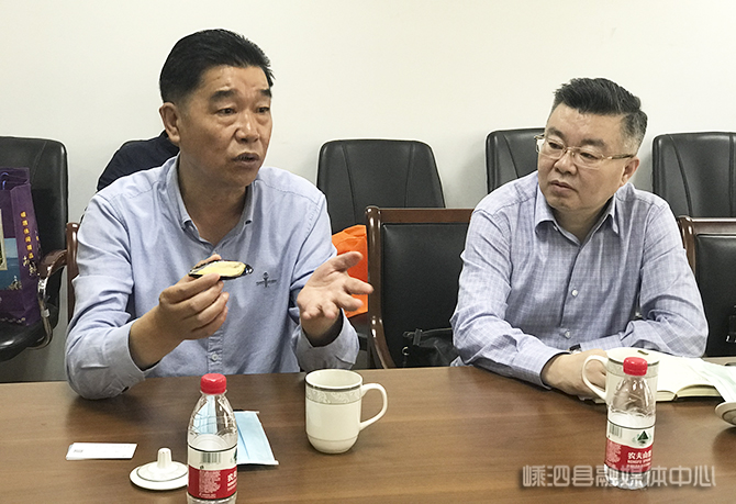 一站式体验在线创意和技能共享