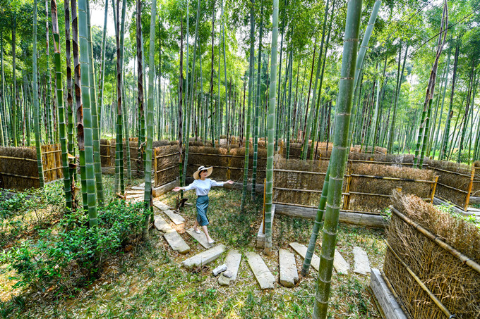 讯(浙江在线记者 谭云俸)近日,长兴水口乡金山村禅茶主题公园景观怡人