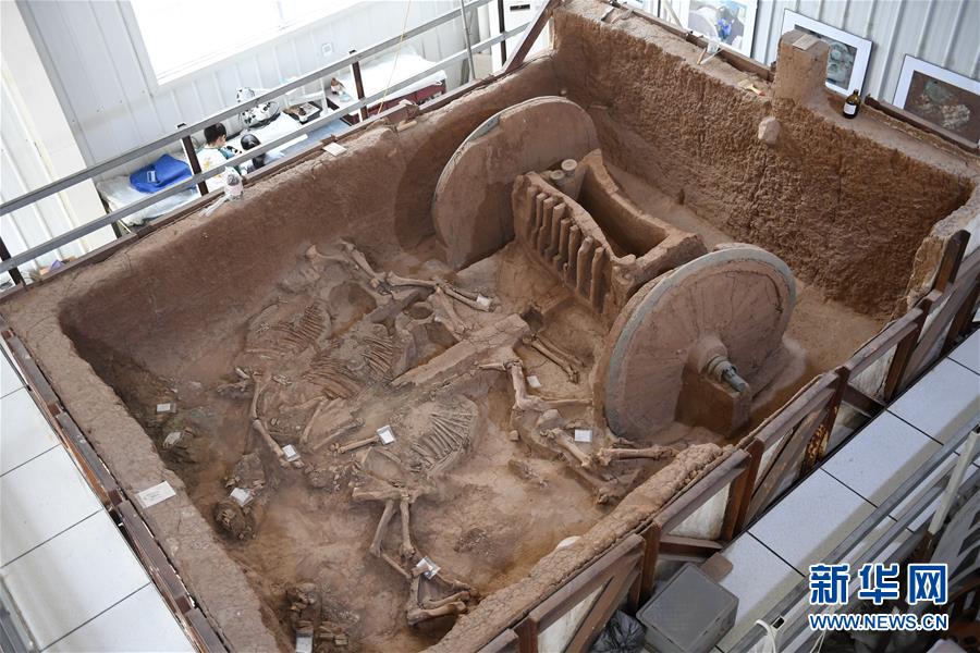 陕西保护复原2800年前西周青铜轮牙马车