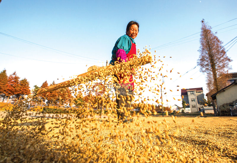 hé nián fēng释义 和和闰年 年景 富厚  ,多风调雨顺,五谷丰收 5
