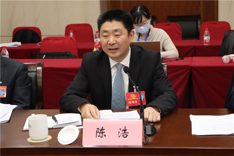 中共温州市委副书记陈浩参加民革界别组第一次小组讨论