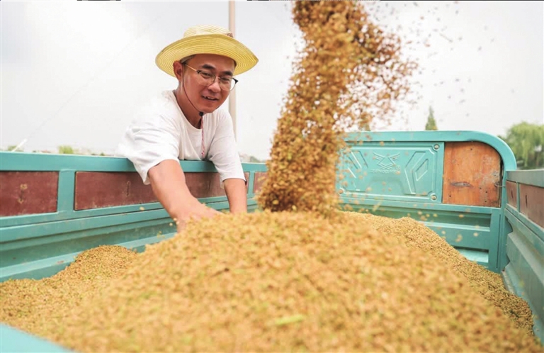 据了解,今年沈煜潮种植的水稻以常规水稻为主,但也种了不少新品种