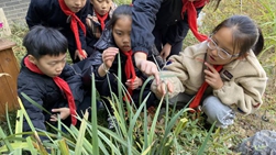 衢州这所名为鹿鸣的小学，让学生跟着《诗经》做中药