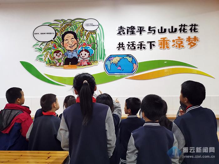 缙云这所小学在餐厅建了一个水稻博物馆