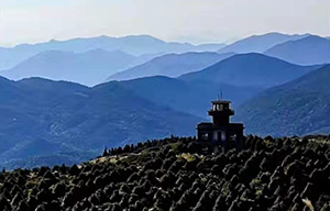 庆元特色日历（2022年1月1日）| 百山祖国家公园