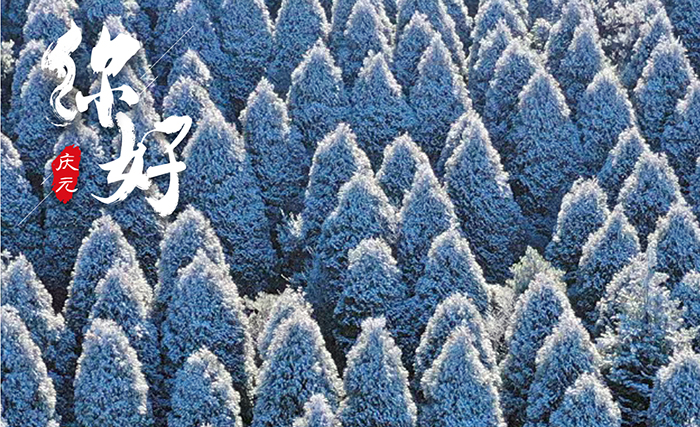 庆元特色日历（2022年1月15日）｜百山祖雪景