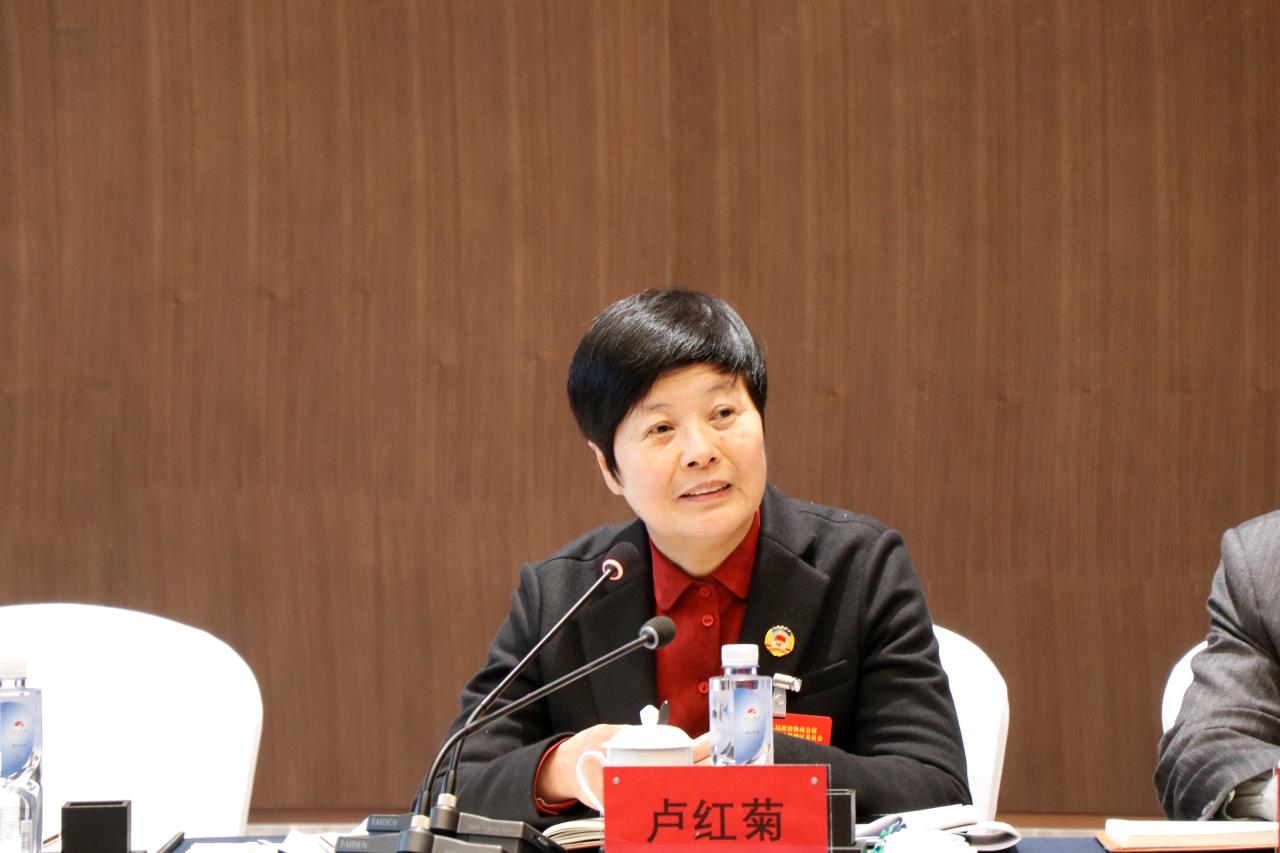 卢红菊参加区政协六届一次会议第二第三第四第六组讨论凝心聚力奋勇
