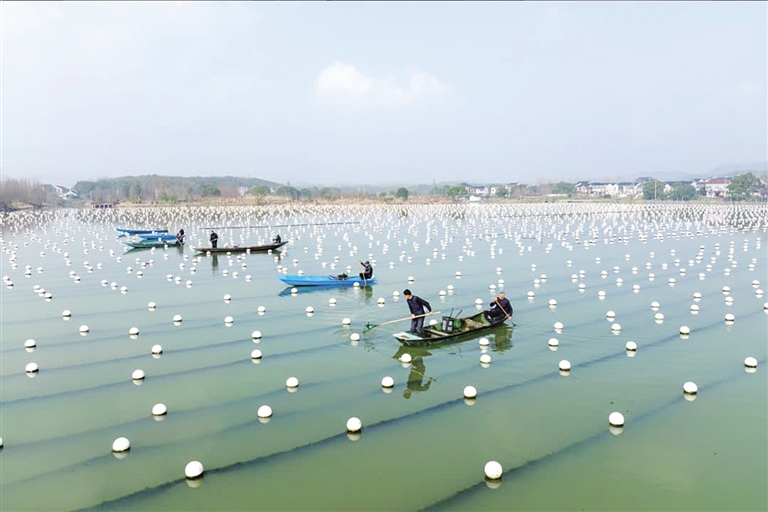 新兴媒体对日化企业的吸引力(图1)