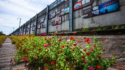 ����ȫ�������䷶����ح�ڴ���԰�����������羰