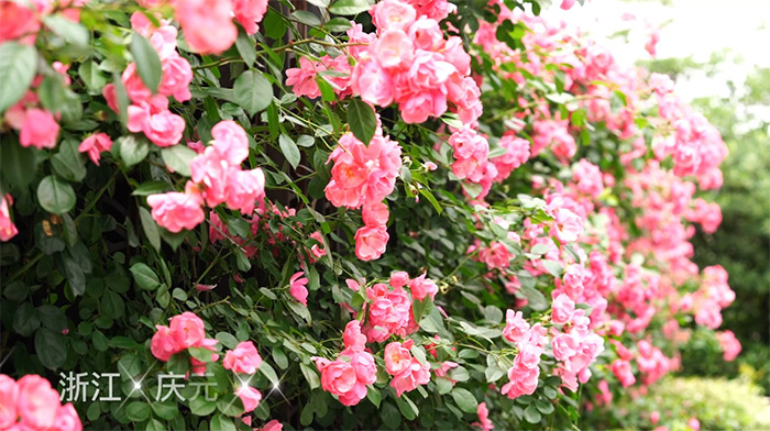 �������ػ� Ǿޱ������