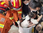 杭州小女孩卡在玩具洗衣機里，消防緊急出動
