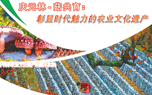【丽水日报】庆元林-菇共育：彰显时代魅力的农业文化遗产