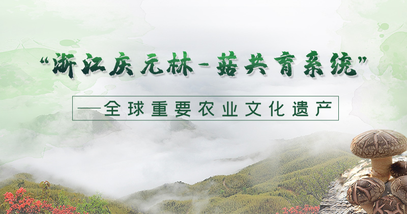 “浙江庆元林-菇共育系统”——全球重要农业文化遗产