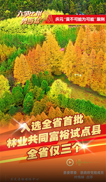 庆元入选全省首批林业共同富裕试点县 | 视频海报 县领导点评