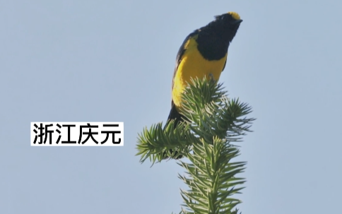 ϻƹ ۾ǰɽ԰