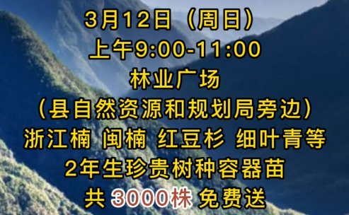3000ͣԹֺ