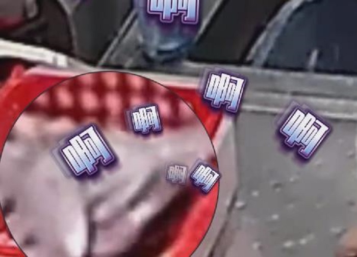 ʦв ţͻȻ
