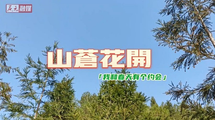 ɽԻҺʹиԼ