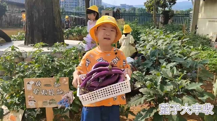 ӳ ޱ